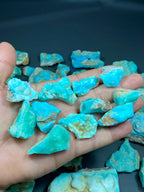 Natural Aragonite Specimen Lot