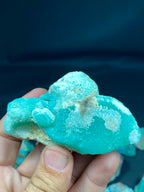Natural Aragonite Specimen Lot