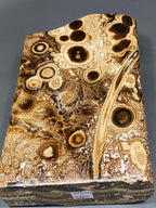 Natural Handmade Stunning Chocolates Calcite Freeform 24x11x7 cm