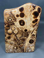 Natural Handmade Stunning Chocolates Calcite Freeform 24x11x7 cm