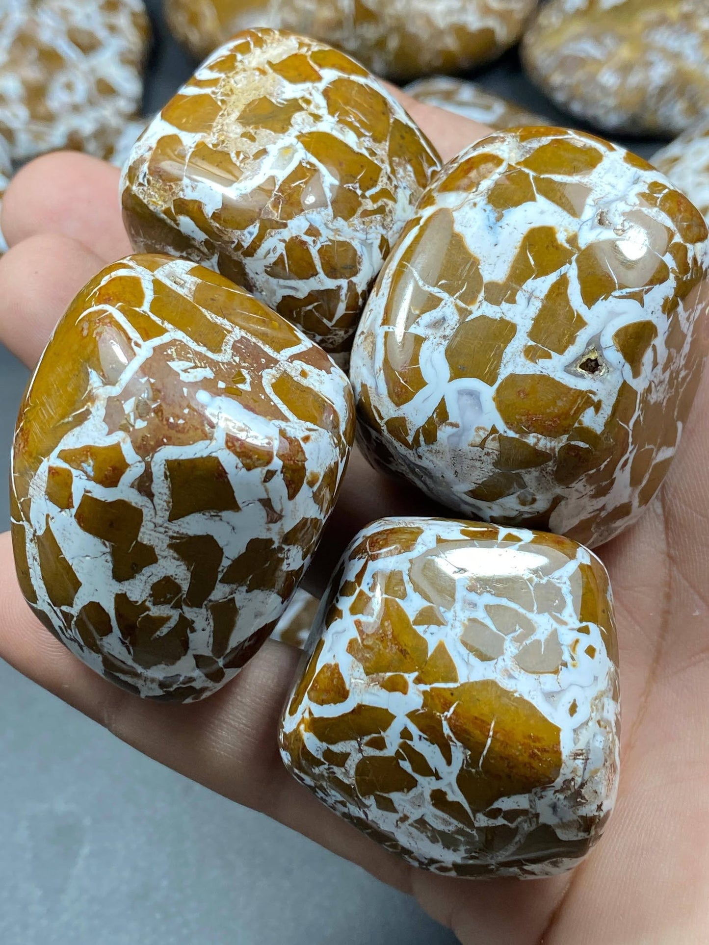 Natural Handmade Polished Agate Lot